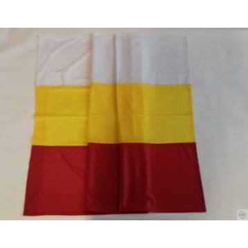 Flaga Białegostoku na drzewiec 150x90